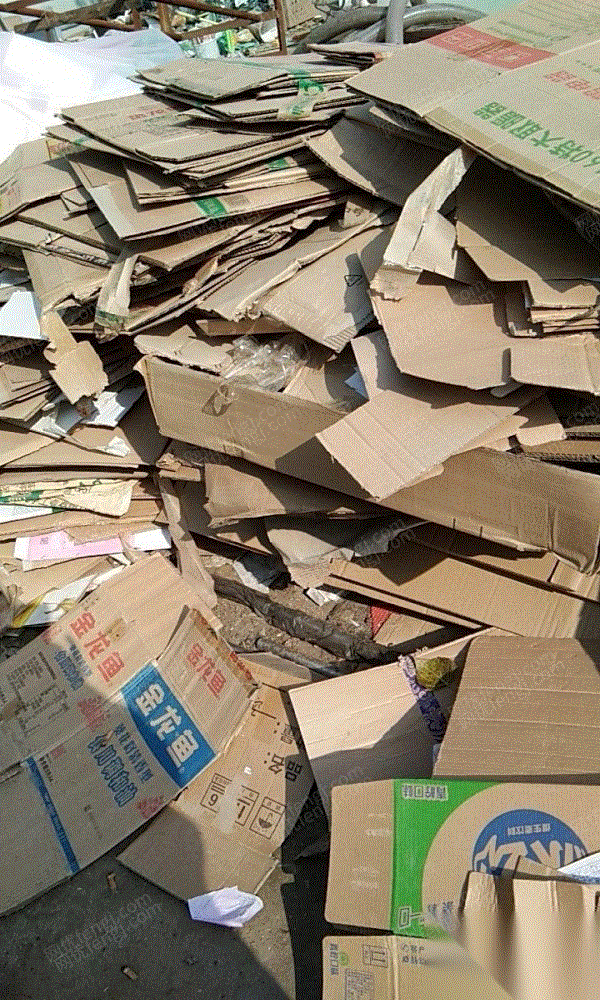 废纸统货回收