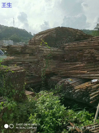 统废（进口废钢）出售
