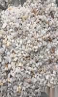 出售水磨石，白色石米材料
