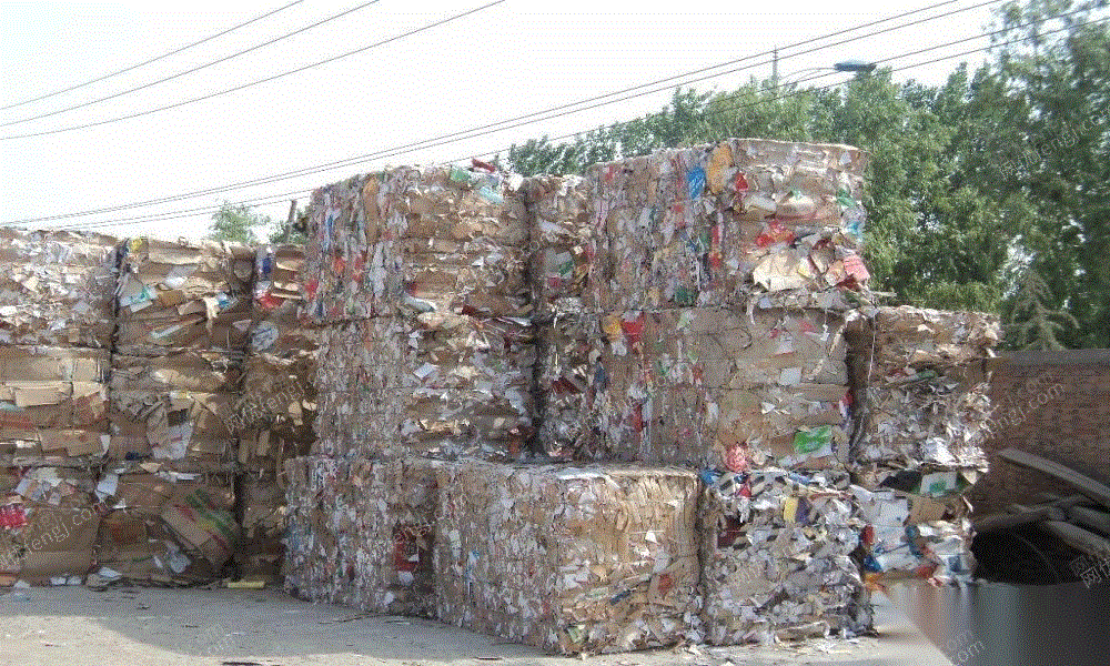 工厂废纸回收