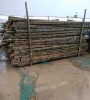 商丘竹木市场处理一批4米竹杆