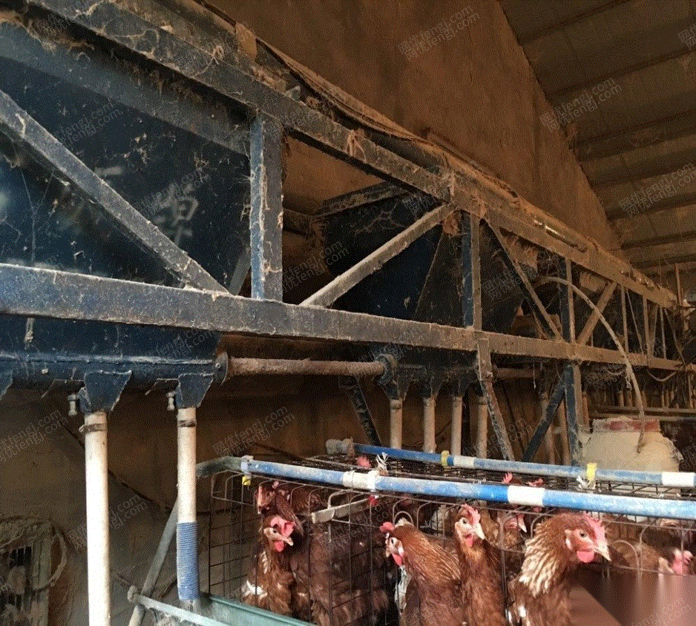 畜牧饲养机械转让