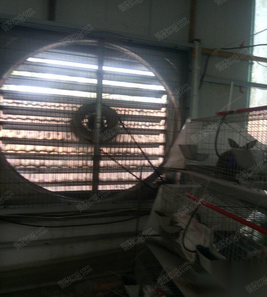 兔养殖场,全套设备处理