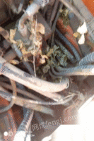 出售斗山150脚轮压路机