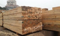 惠州建筑木方公司 进口澳松方木厂家 建筑模板批发