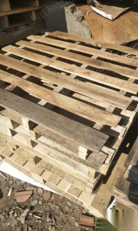 gather-20191024132163503980945491-88270tci12-g.jpg!300small