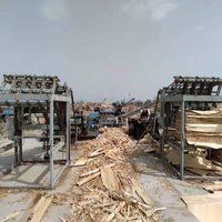 新疆喀什因为家中有事。出售二手杨树旋切机全套设备断木机 14000元