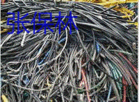 广西柳州求购100吨旧电线电缆电议或面议