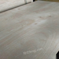 广东深圳木板，木条，木夹板，胶合板，包装板，建筑模板出售