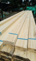 黑龙江齐齐哈尔大量出售木块，木方