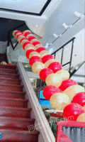 江苏徐州因转行　转让气球印花设备，套色机 48000元