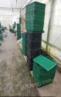 山西吕梁出售种植芽苗菜机器设备 25000元