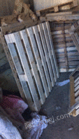 河南郑州转让100块二手木托盘，有要的联系