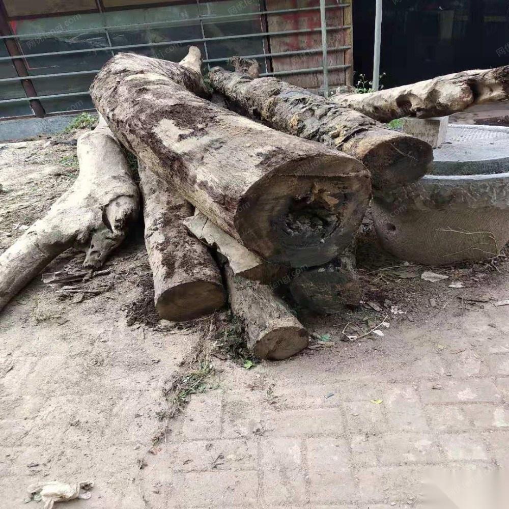广西南宁出售大概有3吨半水浸铁木，价格8千元一吨