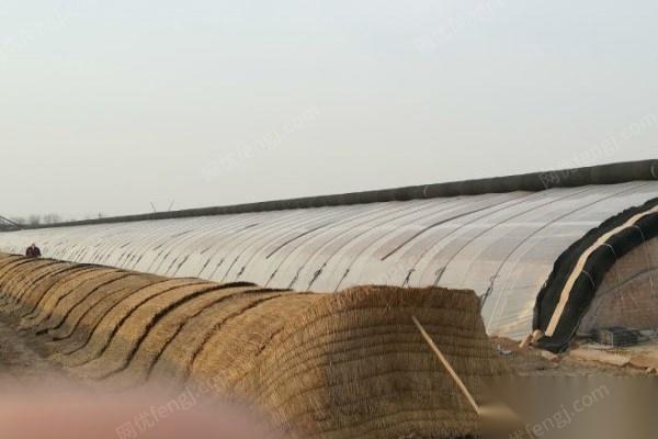 农用蔬菜大棚卷帘机转让,90米长，11米宽-15000元