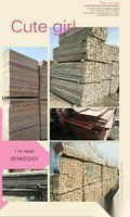 新疆乌鲁木齐销售木方，模板，安全网，竹架板等建筑材料