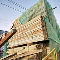 甘肃武威出售木方和模板 50000元