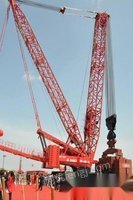 河南安阳国企便宜出售一台2019年新扶挖1250吨履带吊