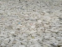 湖南郴州地区出售白色PP电瓶壳破碎料