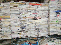 大量废纸回收