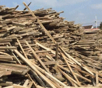 广州江门地区收购各种木头