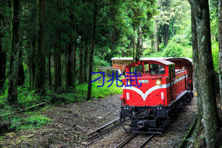 Хэйлунцзян Муданьцзян покупает 10 подержанных лесных поездов