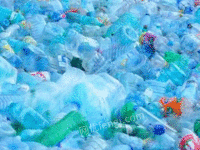 安徽亳州地区收购废塑料瓶