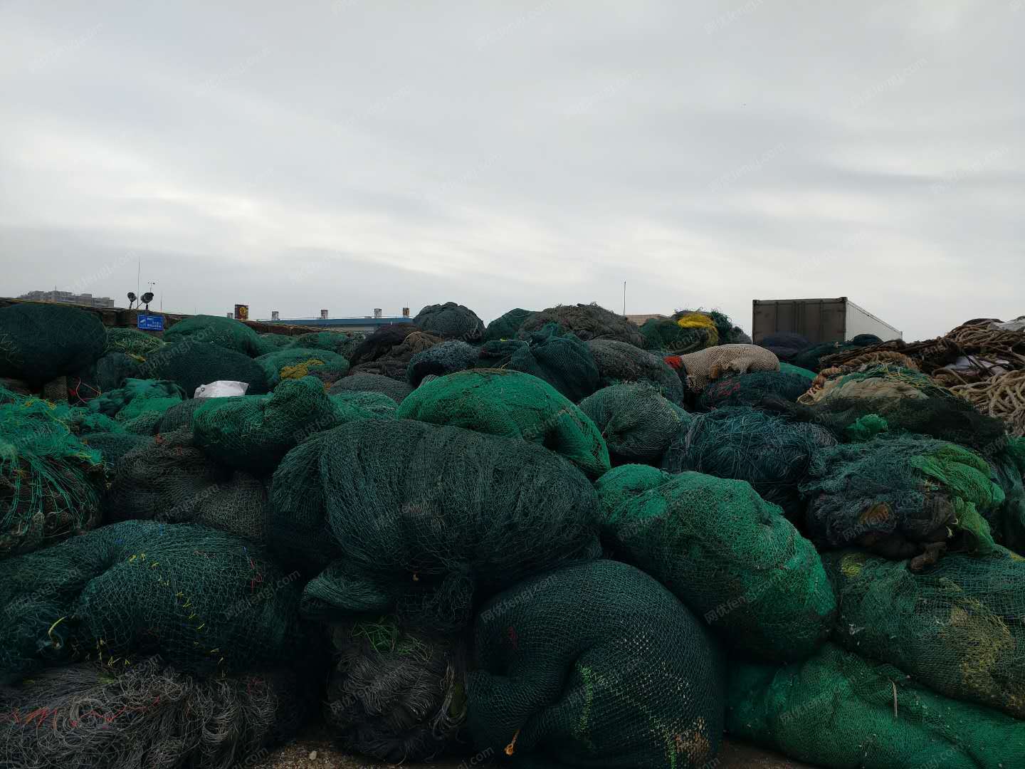出售一批绿色渔网，有50吨，在广东汕尾 