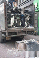 广东广州全东莞废旧金属废品回收,废铁，废铝,废不锈钢回收