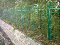 河北框架护栏网厂家 涂塑护栏网供