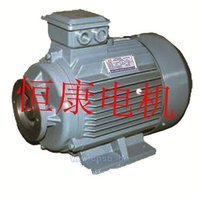 标准柱塞泵配套液压电机