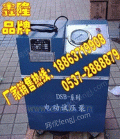 山东省 6DSB-40电动试压泵