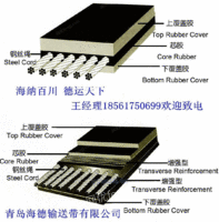 江苏浙江钢丝绳提升带