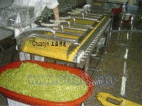 上海传进厂家生产定做果蔬清洗设备