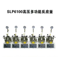 SLP6100高压多功能反应釜