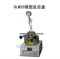 供应slm25微型反应釜