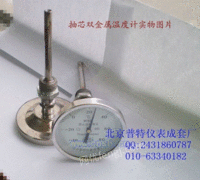 WSS401W抽芯式双金属温度计