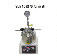 北京供应SLM10微型反应釜