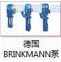 德国BRINKMANN泵