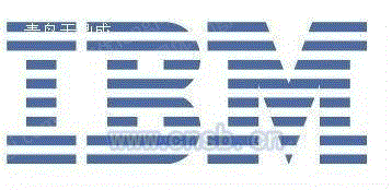 IBM SAN96B-5 洢