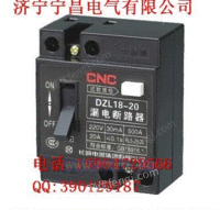 DZL18漏电断路器安全适用