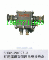 BHD2-20/6T防爆接线盒