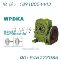 WPDKA系列蜗轮蜗杆减速机