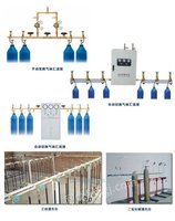 11头二氧化碳汇流排一线型12瓶