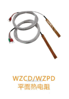 WZCD/WZPD平面热电阻