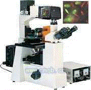 倒置荧光显微镜XSP-21C