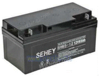 SH65-12西力蓄电池