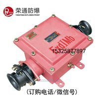 BHD2-200/2G低压接线盒