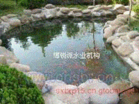 甘肃宁夏云南工湖水处理设备