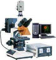 正置荧光显微镜DFM-40c